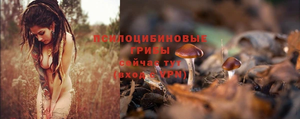 мяу мяу мука Навашино