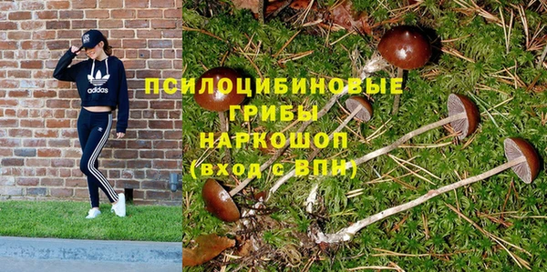 сатива Наволоки